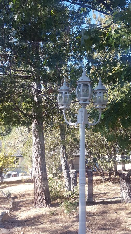 Bluebird Cottage Inn Idyllwild Zewnętrze zdjęcie