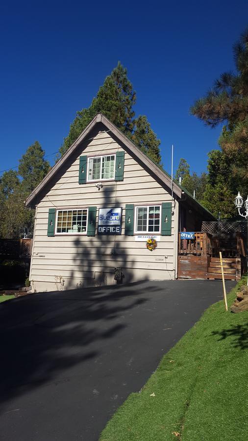 Bluebird Cottage Inn Idyllwild Zewnętrze zdjęcie