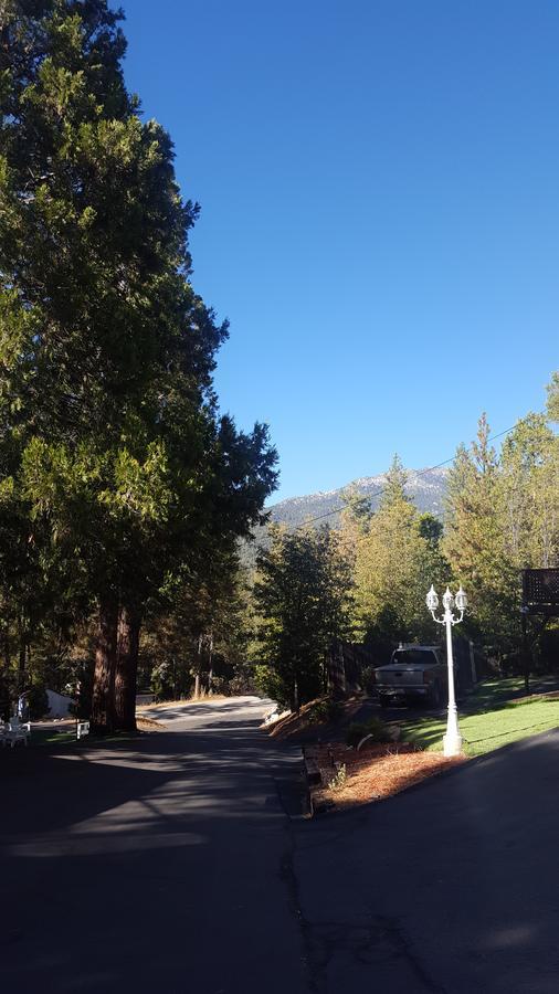 Bluebird Cottage Inn Idyllwild Zewnętrze zdjęcie