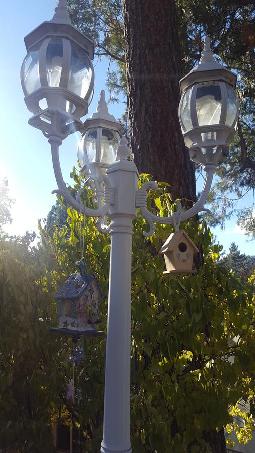 Bluebird Cottage Inn Idyllwild Zewnętrze zdjęcie